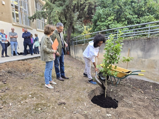 Plantación del limonero dentro del acto de reconocimiento a esta acción climática (UGR) 