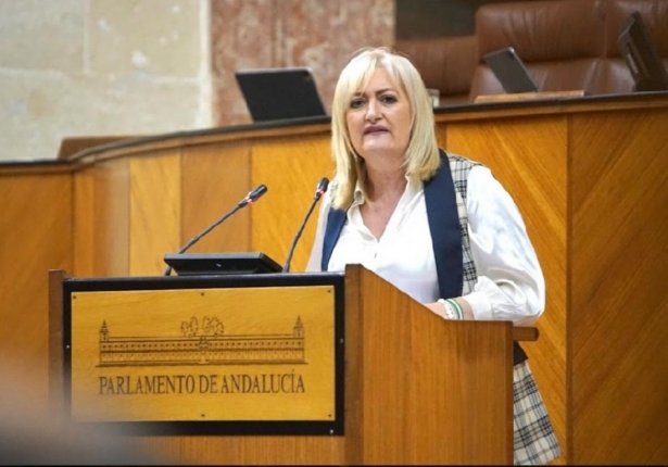 La parlamentaria andaluza del PP, Celia Santiago (PP)