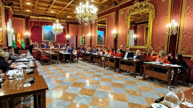 Pleno del Ayuntamiento de Granada, en imagen de archivo (VOX)