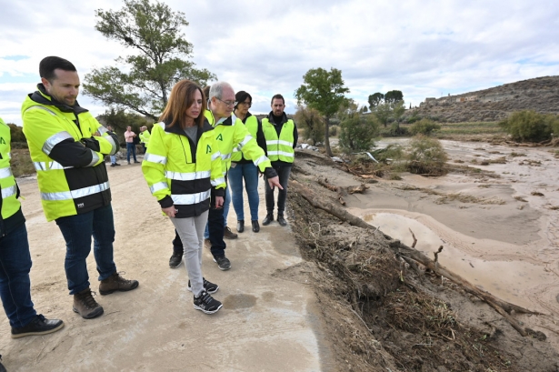 Visita al Puente de Baza (JUNTA)