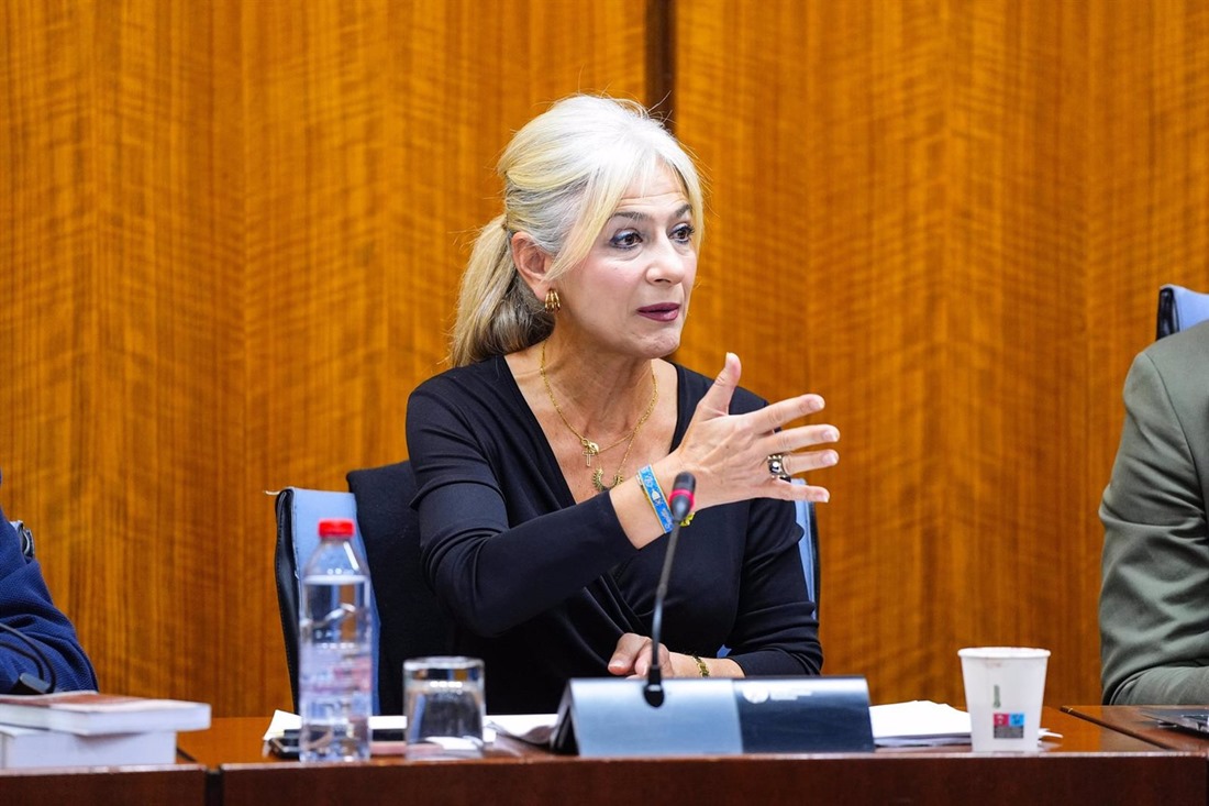 La consejera de Cultura y Deporte, Patricia del Pozo, en comisión parlamentaria el 19 de noviembre de 2024. (JOAQUÍN CORCHERO/PARLAMENTO DE ANDALUCÍA) La consejera de Cultura y Deporte, Patricia del Pozo, en comisión parlamentaria el 19 de noviembre de 2024. (JOAQUÍN CORCHERO/PARLAMENTO DE ANDALUCÍA)