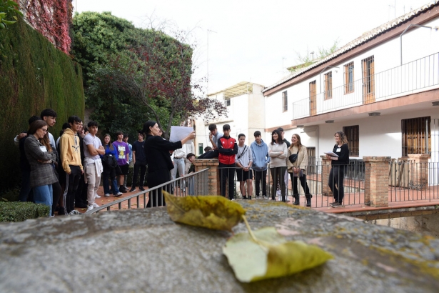 Participantes en el proyecto educativo (DIPGRA)