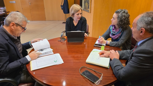 Imagen de la reunión (AYTO. HUÉTOR VEGA)