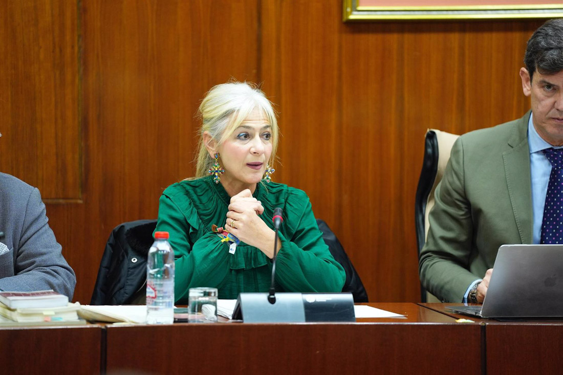 La consejera de Cultura y Deporte, Patricia del Pozo, en comisión parlamentaria el 10 de diciembre de 2024 (JOAQUÍN CORCHERO/PARLAMENTO DE ANDALUCÍA) La consejera de Cultura y Deporte, Patricia del Pozo, en comisión parlamentaria el 10 de diciembre de 2024 (JOAQUÍN CORCHERO/PARLAMENTO DE ANDALUCÍA)
