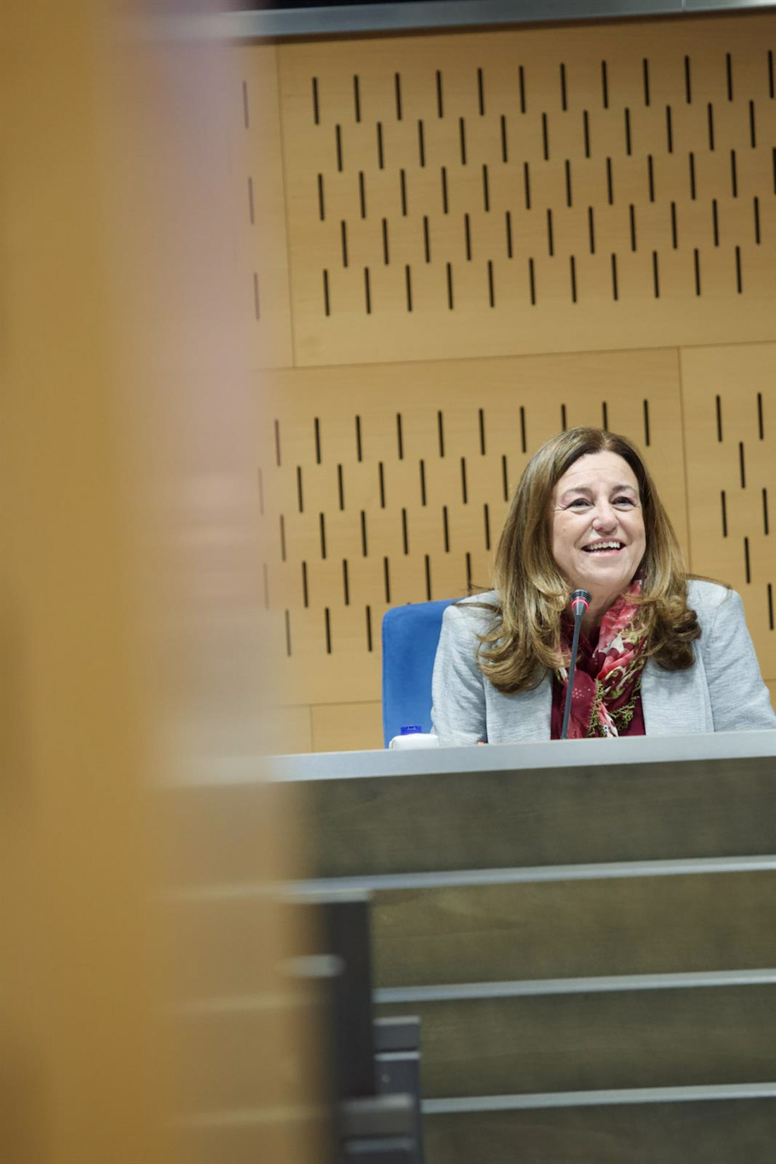 La consejera de Desarrollo Educativo y Formación Profesional, María del Carmen Castillo, en la presentación del proyecto `Aulas Newton` (ESTHER LOBATO/EUROPA PRESS) La consejera de Desarrollo Educativo y Formación Profesional, María del Carmen Castillo, en la presentación del proyecto `Aulas Newton` (ESTHER LOBATO/EUROPA PRESS)