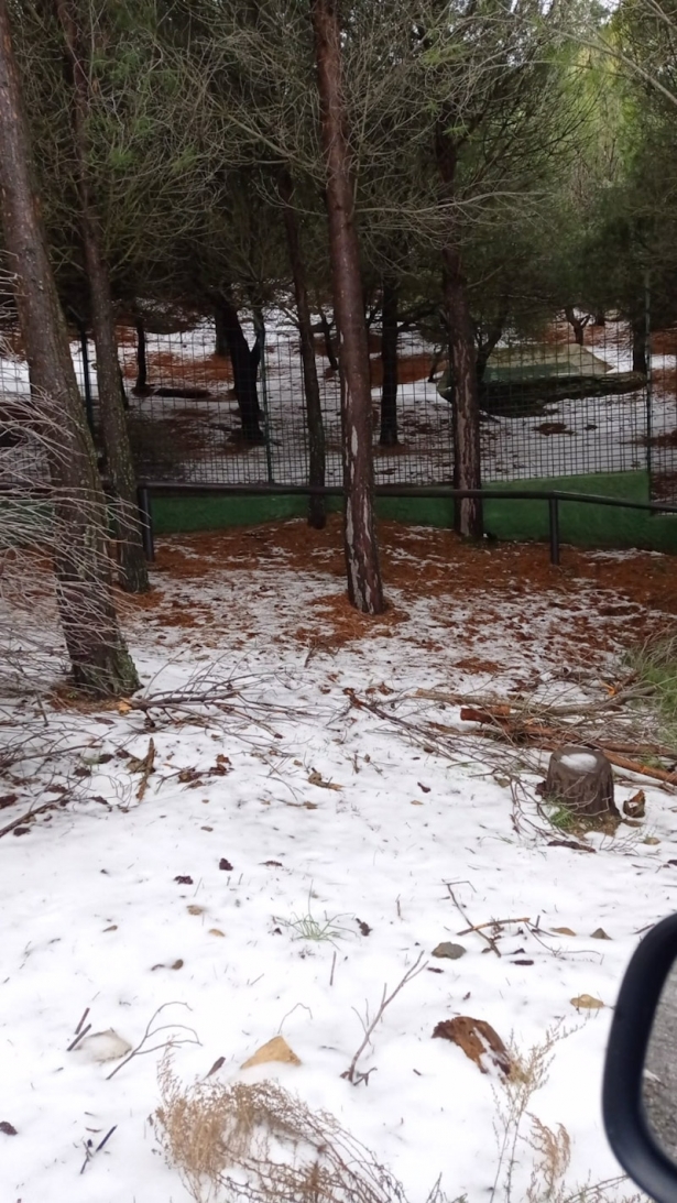 Nieve en Peña Escrita (AYUNTAMIENTO)
