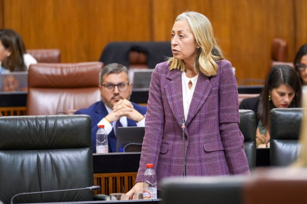 La consejera de Salud y Consumo, Rocío Hernández, en imagen de archivo en el Parlamento (FRANCISCO J. OLMO - EUROPA PRESS)