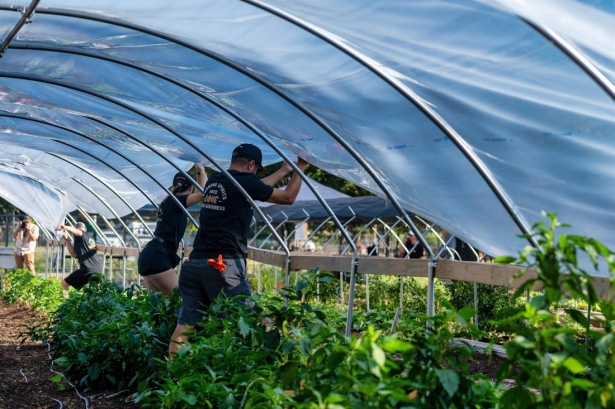 Un estudio analiza el impacto de la exposición a pesticidas en agricultores (IBS.GRANADA)