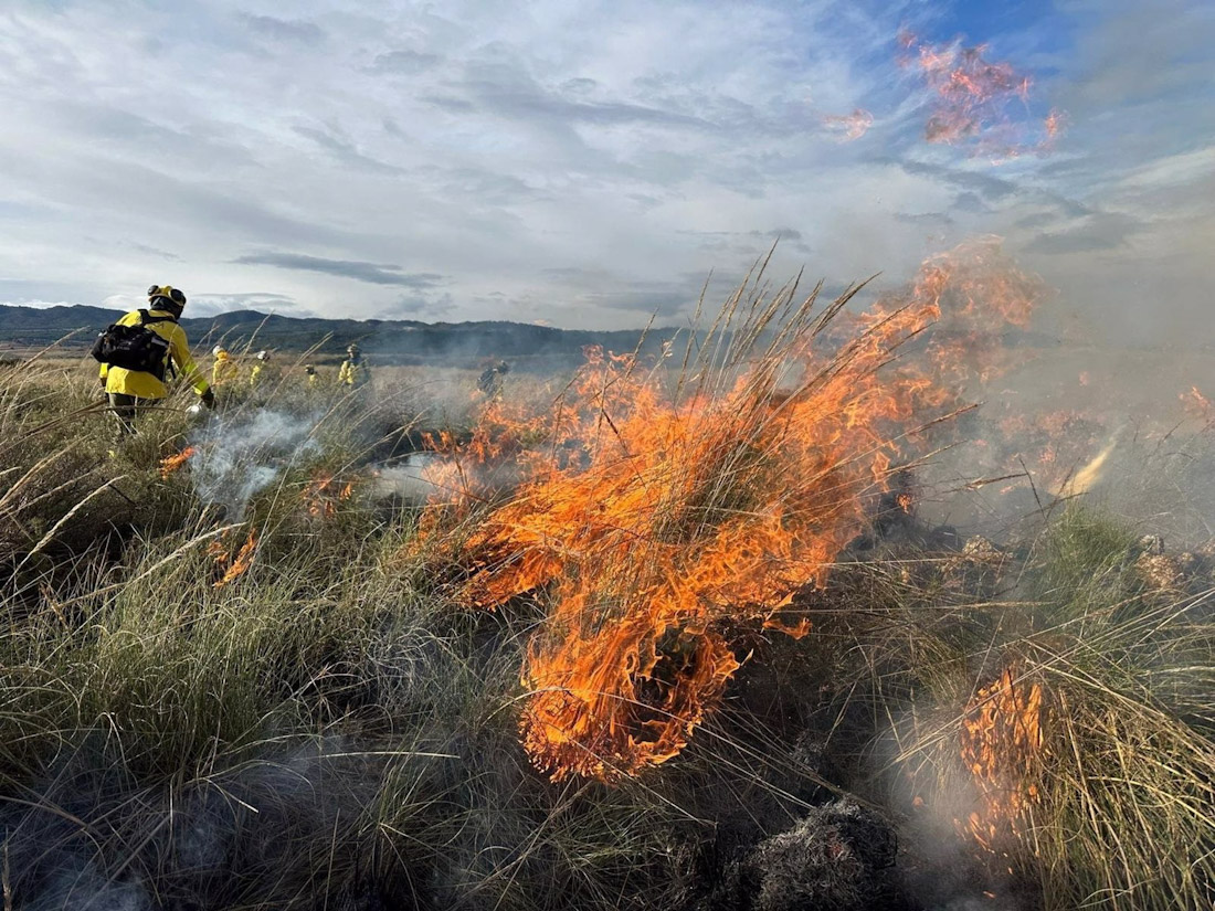 Fuego de la quema prescrita en el monte público de Cerros de Abajo, el pasado jueves 12 de diciembre (PERFIL DEL INFOCA EN X) Fuego de la quema prescrita en el monte público de Cerros de Abajo, el pasado jueves 12 de diciembre (PERFIL DEL INFOCA EN X)