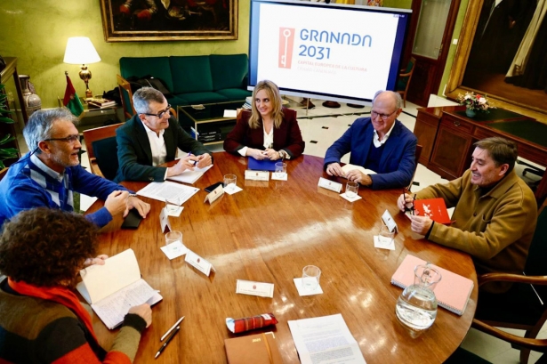 imagen de la reunión (AYTO. GRANADA)