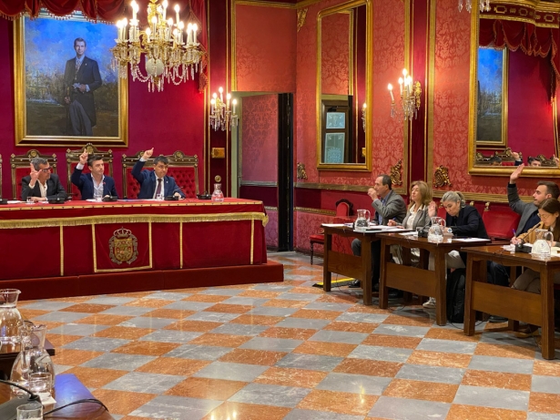 Comisión de Cultura (AYTO. GRANADA)