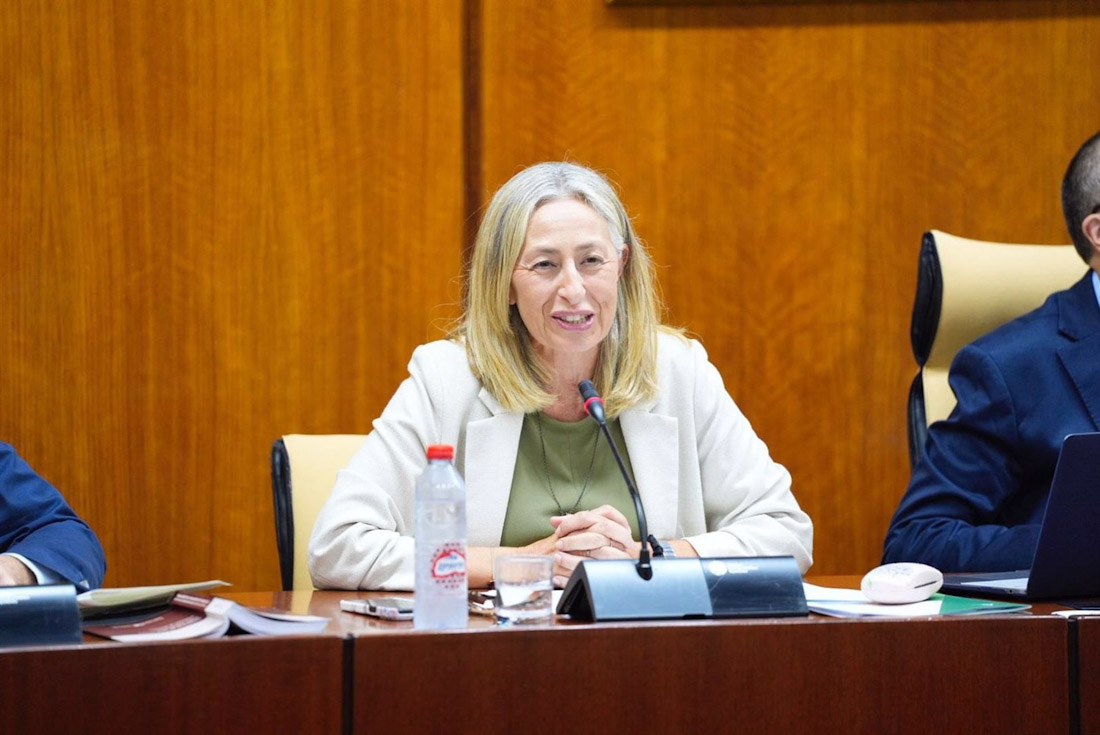 La consejera de Salud y Consumo de la Junta de Andalucía, Rocío Hernández, en imagen de archivo en comisión parlamentaria (JOAQUIN CORCHERO / PARLAMENTO DE ANDALUCIA) La consejera de Salud y Consumo de la Junta de Andalucía, Rocío Hernández, en imagen de archivo en comisión parlamentaria (JOAQUIN CORCHERO / PARLAMENTO DE ANDALUCIA)