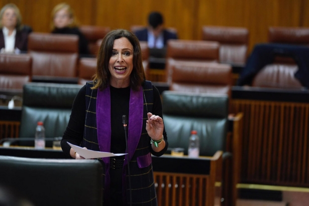 La consejera de Fomento, Articulación del Territorio y Vivienda, Rocío Díaz, en el Pleno del Parlamento de Andalucía (JOAQUÍN CORCHERO/PARLAMENTO DE ANDALUCÍA)