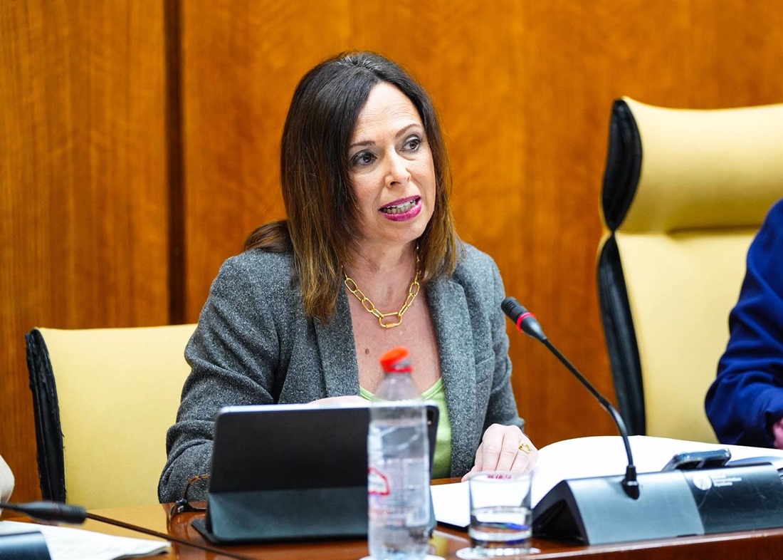 La consejera de Fomento, Articulación del Territorio y Vivienda, Rocío Díaz, en comisión parlamentaria (JOAQUÍN CORCHERO - PARLAMENTO DE ANDALUCÍA) La consejera de Fomento, Articulación del Territorio y Vivienda, Rocío Díaz, en comisión parlamentaria (JOAQUÍN CORCHERO - PARLAMENTO DE ANDALUCÍA)