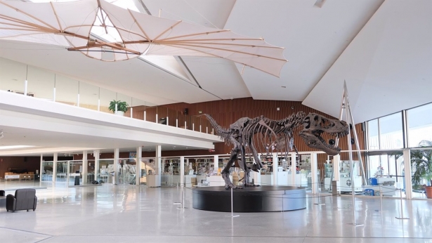 Imagen del El T-Rex del Parque de las Ciencias de Granada. (PARQUE DE LAS CIENCIAS DE GRANADA)