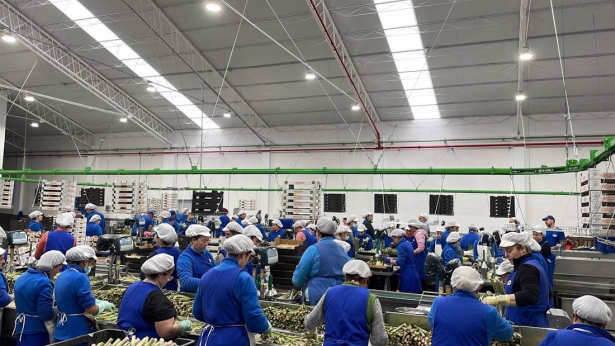 Trabajadores en Cosafra. -(COSAFRA)