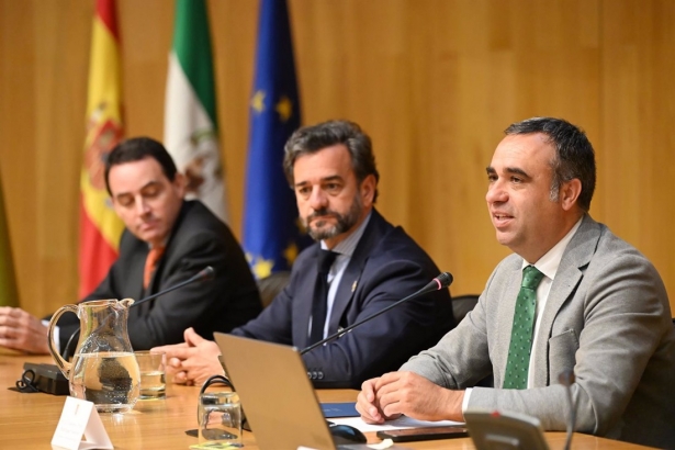 El presidente de la Diputación de Granada, Francis Rodríguez, interviene en presencia de Manuel Alejandro Cardenete, a su derecha en la imagen (DIPUTACIÓN)