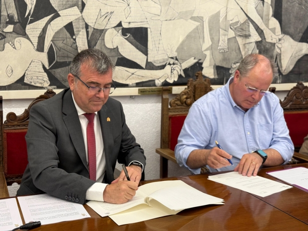 (SUBDELEGACIÓN)