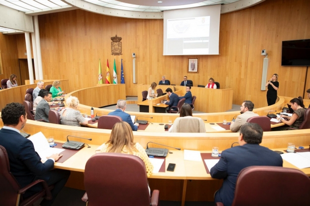 Pleno de la Diputación (ANTONIO L. JUÁREZ)