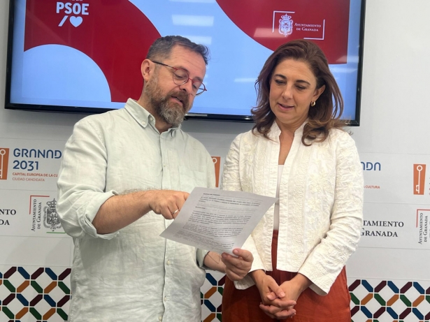 (PSOE)