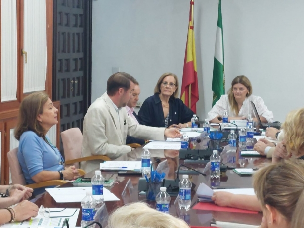 Comisión Provincial de Violencia de Género (JUNTA)
