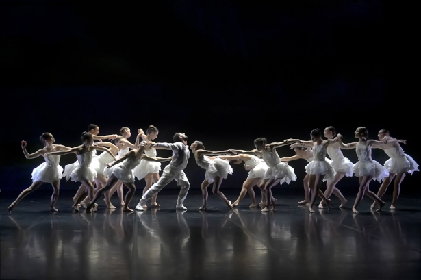 Lago de los cisnes de Angelin Preljocaj (JEAN-CLAUDE CARBONNE)