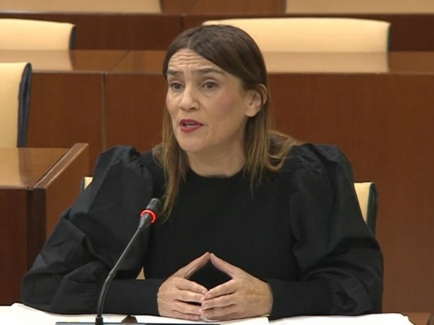 La parlamentaria andaluza del PSOE Olga Manzano, en imagen de archivo (PSOE)