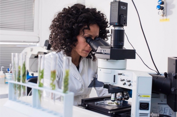 Investigadora. (UNIVERSIDAD DE GRANADA)