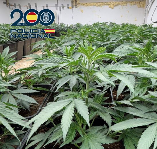 (POLICÍA NACIONAL)