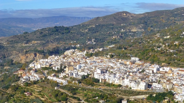 (PSOE)