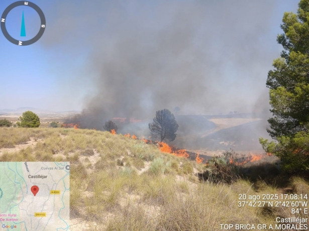 Zona afectada por el incendio (INFOCA)