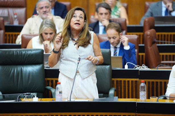 La consejera de Desarrollo Educativo y Formación Profesional, María del Carmen Castillo, en el pleno del 25 de septiembre de 2025 (JOAQUIN CORCHERO / PARLAMENTO DE ANDALUCIA)