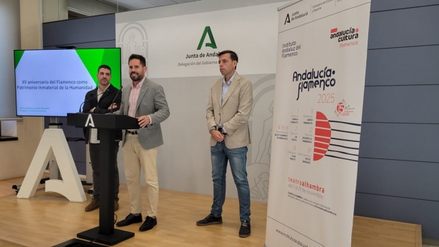 Presentación de las actividades (JUNTA)