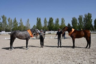 (EQUUS 2025)