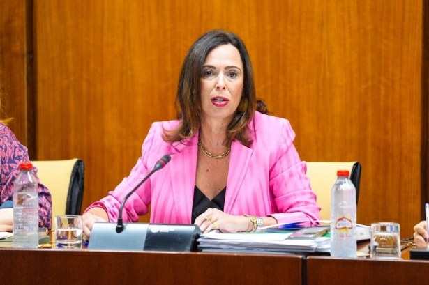 La consejera de Fomento, Articulación del Territorio y Vivienda, Rocío Díaz, en comisión parlamentaria (JOAQUÍN CORCHERO-PARLAMENTO DE ANDALUCÍA)