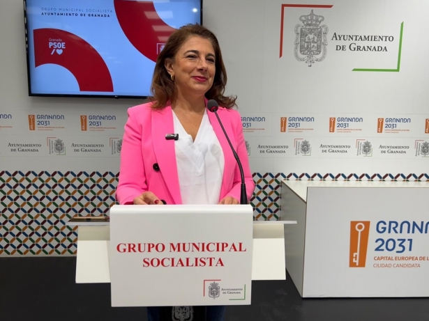 (PSOE) (PSOE)