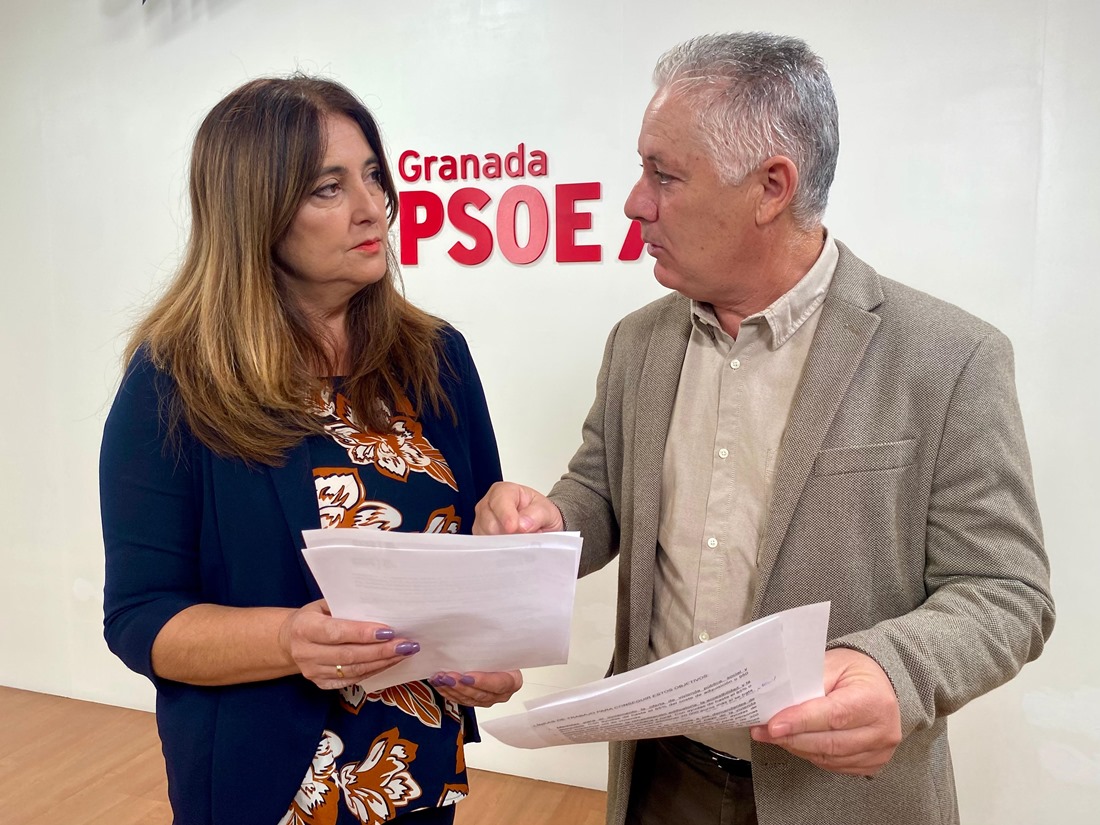 (PSOE) (PSOE)