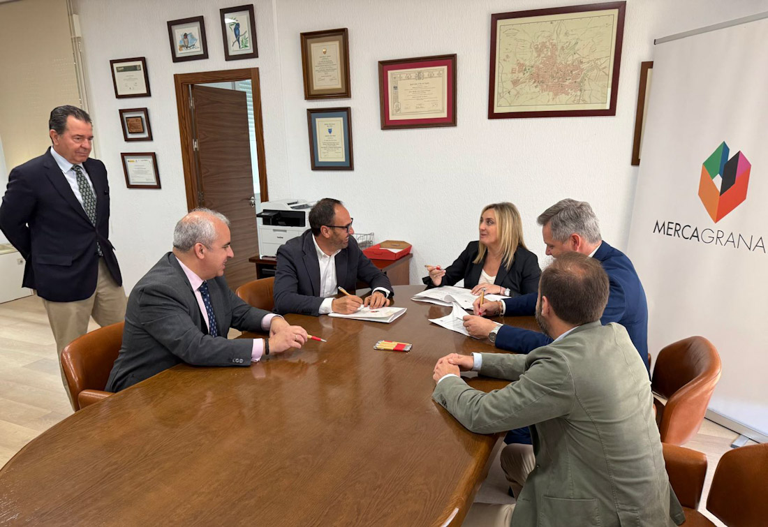 Imagen de la reunión (AYTO. GRANADA) Imagen de la reunión (AYTO. GRANADA)