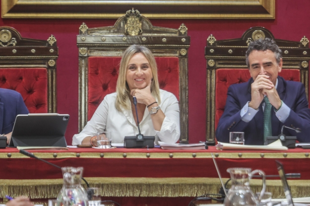 Pleno del Ayuntamiento de Granada (GPMEDIA) Pleno del Ayuntamiento de Granada (GPMEDIA)