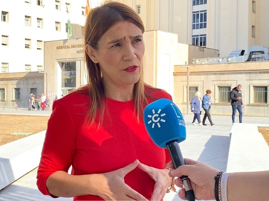 La parlamentaria andaluza del PSOE Olga Manzano (PSOE) La parlamentaria andaluza del PSOE Olga Manzano (PSOE)