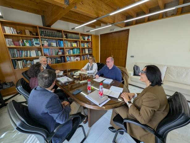 Imagen de la reunión (JUNTA)