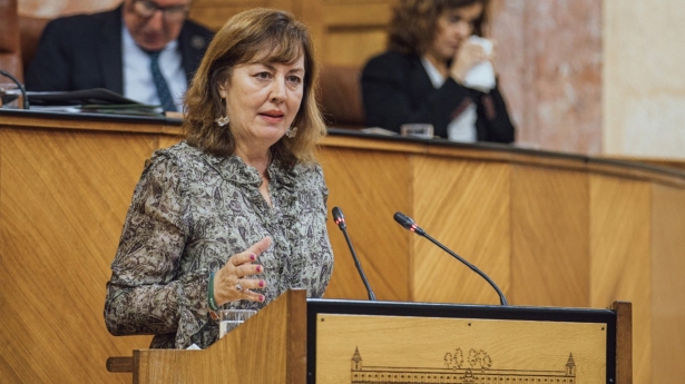 La parlamentaria de Vox por Granada y vicepresidenta tercera de la Mesa del Parlamento de Andalucía, Cristina Jiménez (VOX) La parlamentaria de Vox por Granada y vicepresidenta tercera de la Mesa del Parlamento de Andalucía, Cristina Jiménez (VOX)