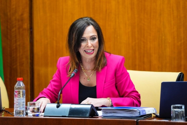 La consejera de Fomento, Articulación del Territorio y Vivienda, Rocío Díaz, en comisión parlamentaria este jueves 20 de noviembre de 2025 (JOAQUÍN CORCHERO/PARLAMENTO DE ANDALUCÍA) La consejera de Fomento, Articulación del Territorio y Vivienda, Rocío Díaz, en comisión parlamentaria este jueves 20 de noviembre de 2025 (JOAQUÍN CORCHERO/PARLAMENTO DE ANDALUCÍA)