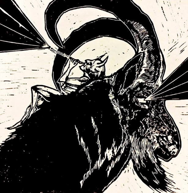 Los Cosmics (BORDERLINE MUSIC) Los Cosmics (BORDERLINE MUSIC)