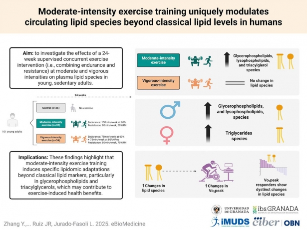 Una investigación revela que el ejercicio físico moderado tiene beneficios en las grasas de la sangre (UGR) Una investigación revela que el ejercicio físico moderado tiene beneficios en las grasas de la sangre (UGR)