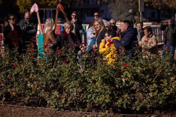 La alcaldesa de Granada, Marifrán Carazo, revisa los trabajos en la calle Jimena (AYUNTAMIENTO) La alcaldesa de Granada, Marifrán Carazo, revisa los trabajos en la calle Jimena (AYUNTAMIENTO)