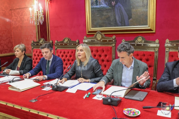 Pleno del Ayuntamiento de Granada (GPMEDIA)