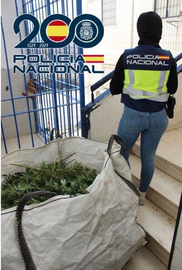Agente de la Policía Nacional (POLICÍA NACIONAL)