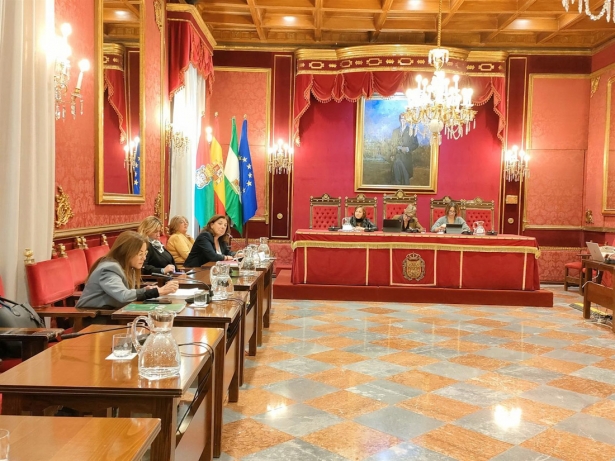 Comisión extraordinaria de Protección Ciudadana sobre la gestión de multas por la Policía Local de Granada (EUROPA PRESS) Comisión extraordinaria de Protección Ciudadana sobre la gestión de multas por la Policía Local de Granada (EUROPA PRESS)