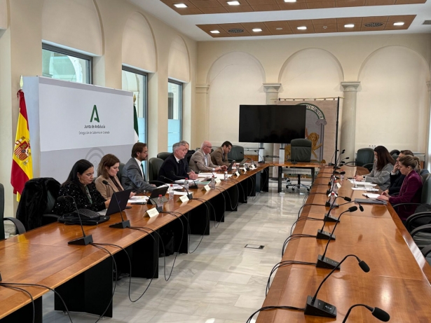 Imagen de la reunión (JUNTA)